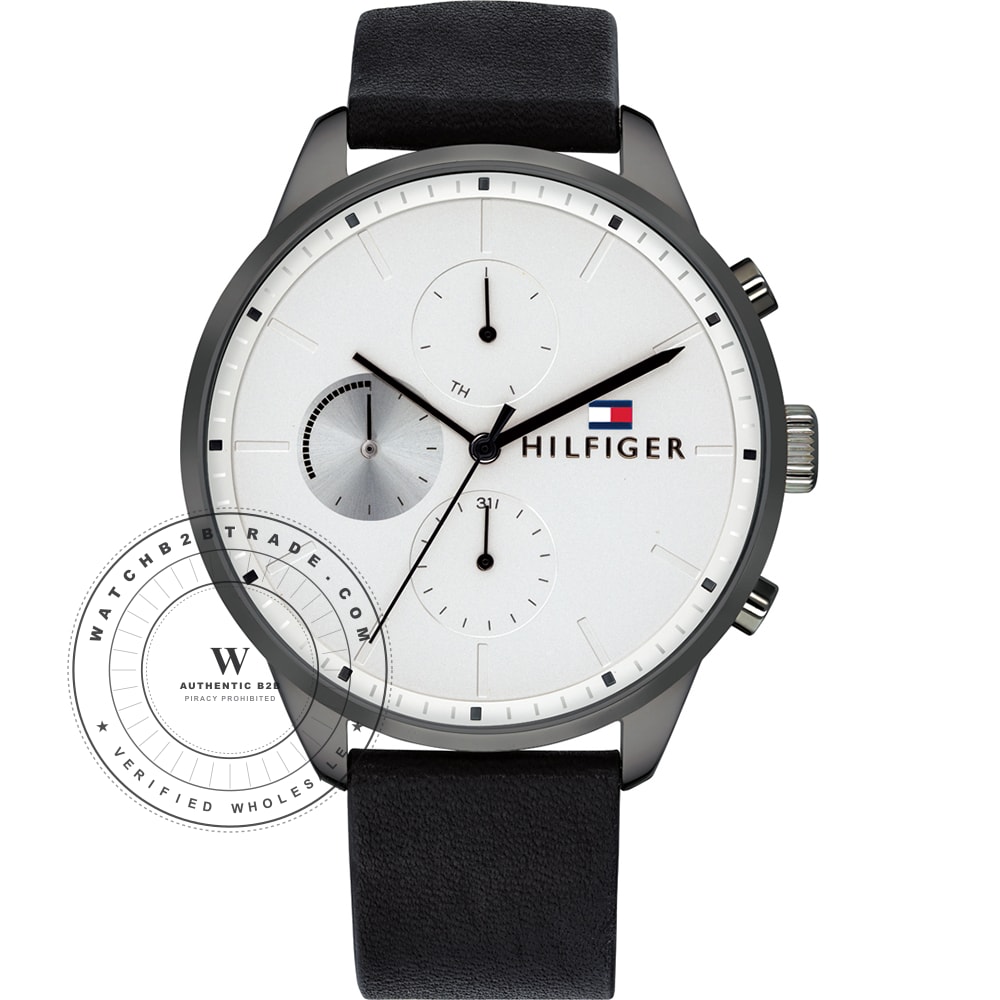 Tommy Hilfiger 1791489 Watch (1791489) - Wholesale Luxury Timepiece