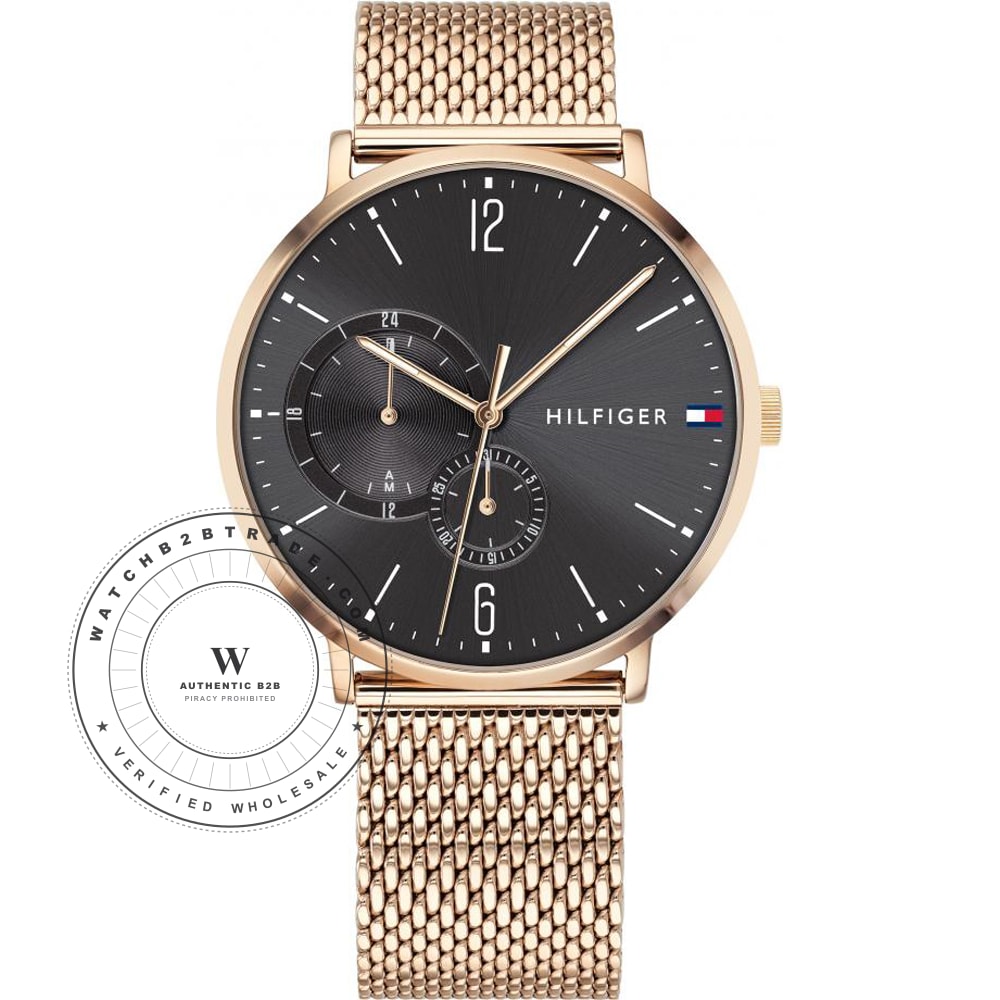 Tommy Hilfiger 1791506 Watch (1791506) - Wholesale Luxury Timepiece