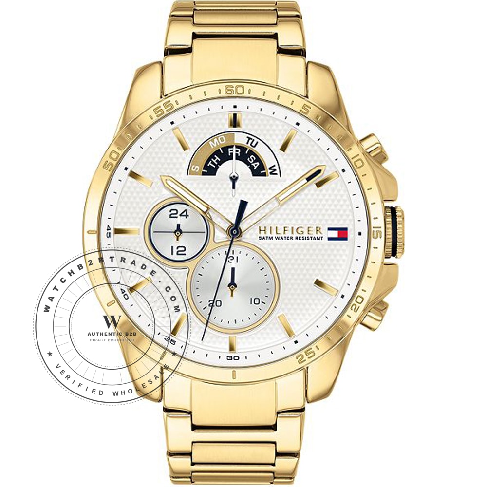 Tommy Hilfiger 1791538 Watch (1791538) - Wholesale Luxury Timepiece