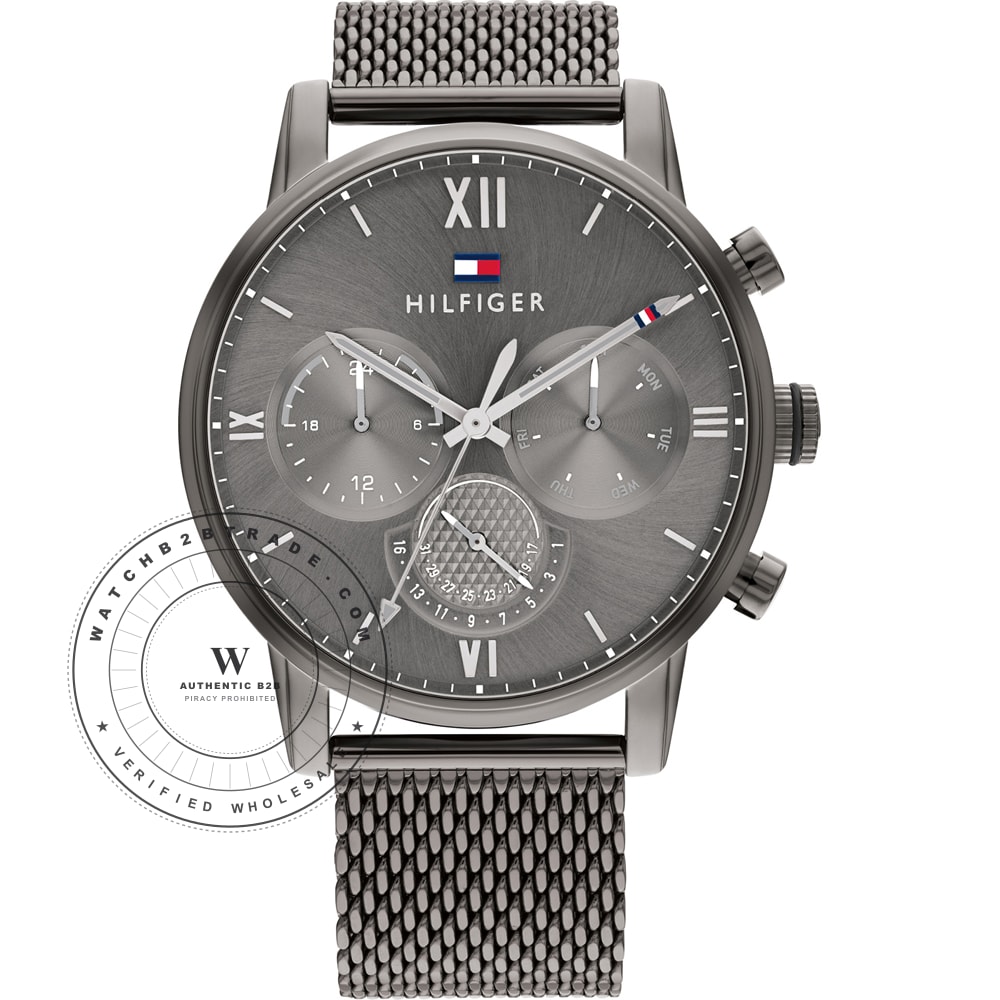Tommy Hilfiger 1791882 Watch (1791882) - Wholesale Luxury Timepiece