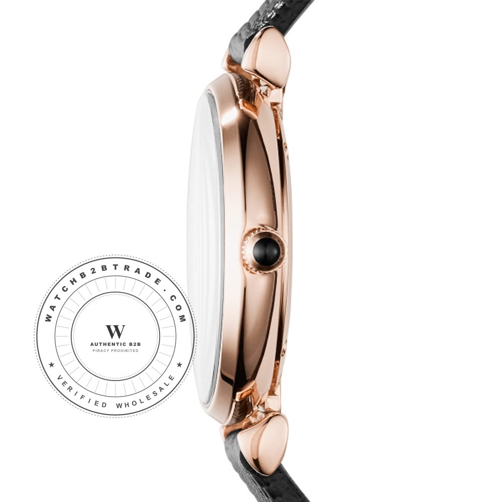 Emporio Armani AR11060 Watch AR11060 - Angle 2