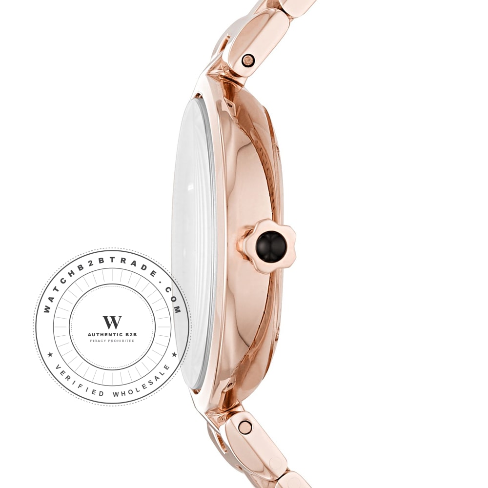 Emporio Armani AR11197 Watch AR11197 - Angle 2