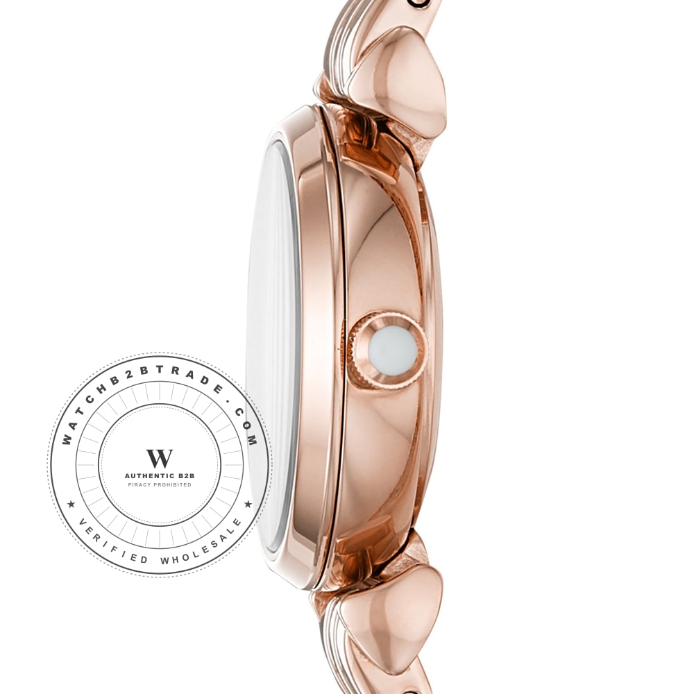 Emporio Armani AR11203 Watch AR11203 - Angle 2