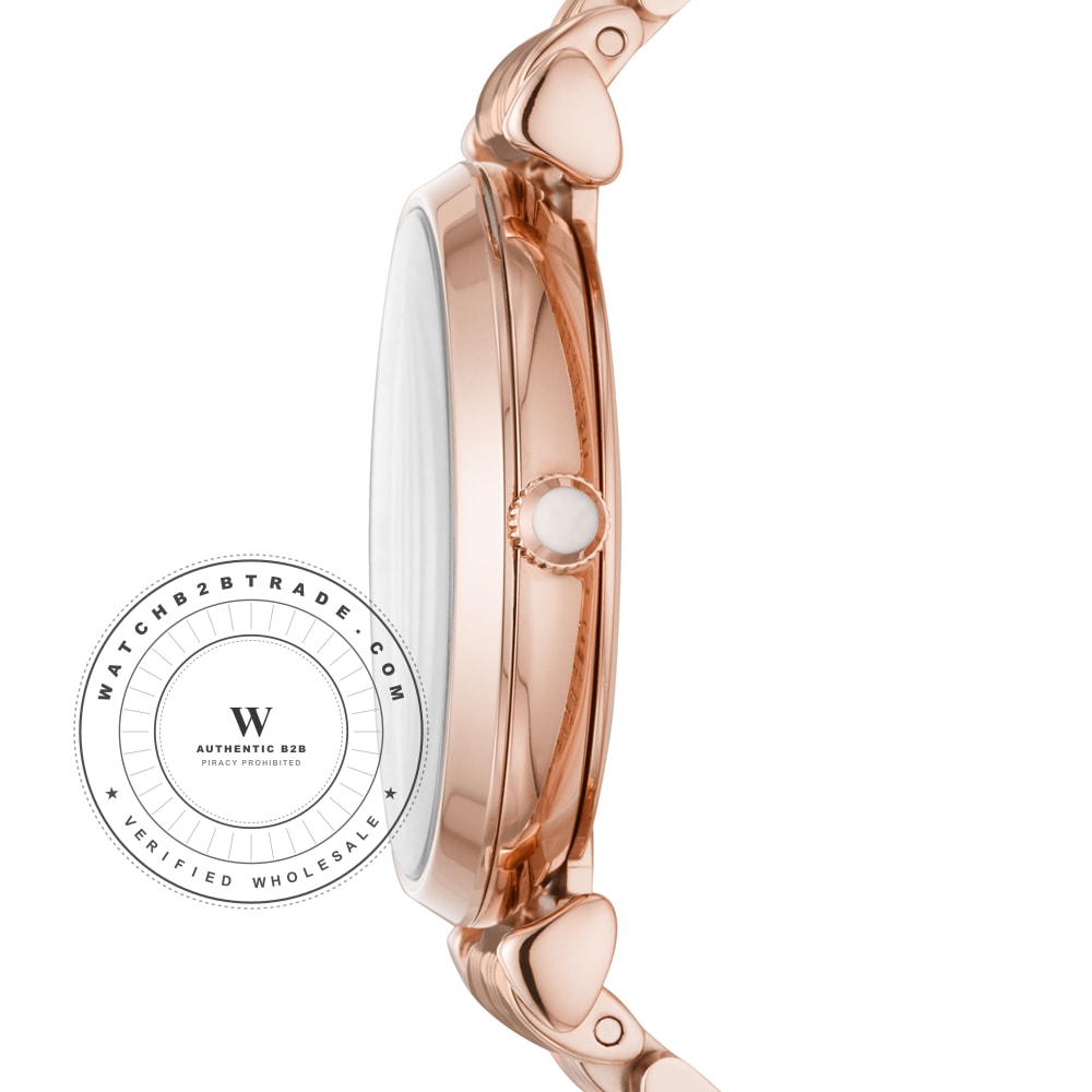 Emporio Armani AR11244 Watch AR11244 - Angle 2