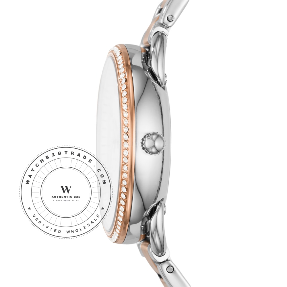 Fossil ES4396 Watch ES4396 - Angle 2