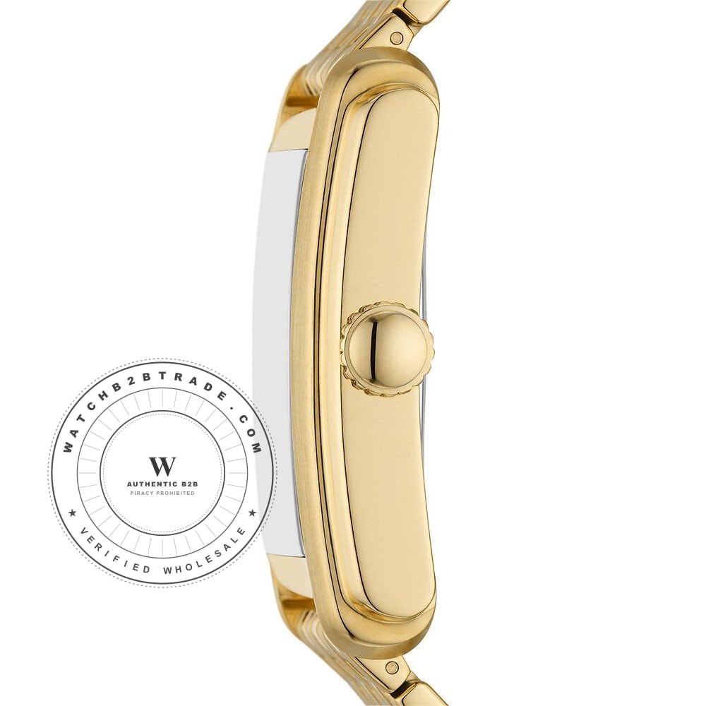 Fossil FS6009 Carraway Watch FS6009 - Angle 3